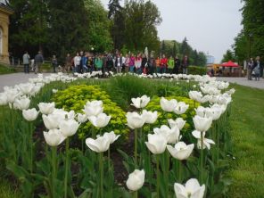 Obrázek k aktualitě Flora Olomouc