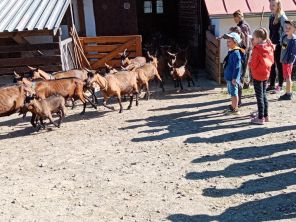 Obrázek k aktualitě Kozí farma, 1.A