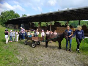 Obrázek k aktualitě Výlet třídy 1.B do stájí Moravia Branky