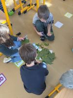 Fotografie img-0875_1_original.jpeg