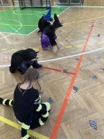 Fotografie img-7626_2_original.jpeg