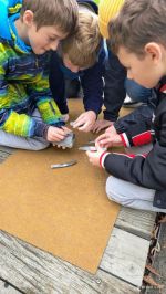 Fotografie img-20251016-122341835-ae_original.jpg