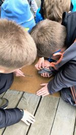 Fotografie img-20251016-122841872-ae_original.jpg