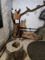 Fotografie img-20251114-111810_1_original.jpg