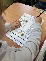 Fotografie img-7894_original.jpg