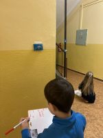 Fotografie img-8022_original.jpg