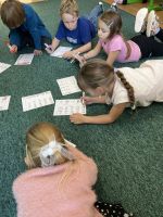 Fotografie img-8128_original.jpeg