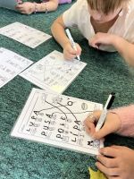 Fotografie img-8129_original.jpeg