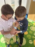 Fotografie img-1548_original.jpeg