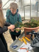 Fotografie 11_original.jpg