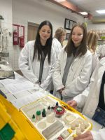 Fotografie 2_original.jpg