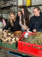 Fotografie 6_original.jpg