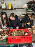 Fotografie 7_original.jpg