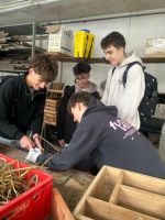 Fotografie 9_original.jpg