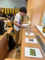 Fotografie 15_1_original.jpg