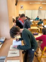 Fotografie 7_1_original.jpg