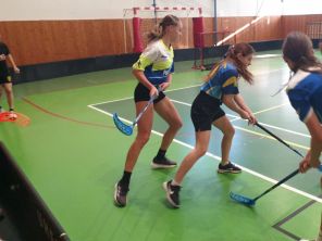 Obrázek k aktualitě Florbal dívky - 2. místo v okrskovém kole