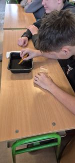 Fotografie 05_1_original.jpg