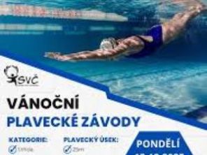Obrázek k aktualitě Plavecké závody