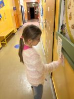 Fotografie 1000054793_original.jpg