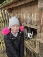 Fotografie img-8433_original.jpeg