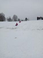 Fotografie img-20260115-102033_original.jpg