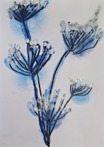 Fotografie 20260115-141056_original.jpg