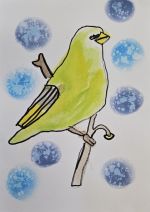 Fotografie 20260122-144707_original.jpg