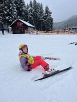 Fotografie img-9342_1_original.jpeg