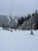 Fotografie img-9359_original.jpeg