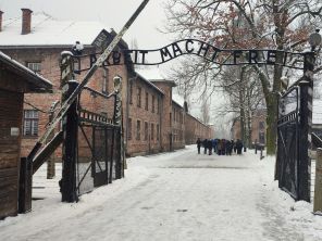 Obrázek k aktualitě Osvětim - Svědomí lidstva