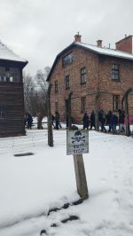 Fotografie img-20260218-094635_original.jpg