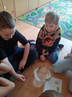 Fotografie img-20260312-111826_original.jpg