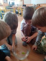 Fotografie img-20260312-112537_original.jpg