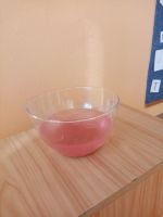 Fotografie img-20260313-092519_original.jpg