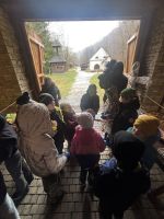 Fotografie img-6443_1_original.jpeg