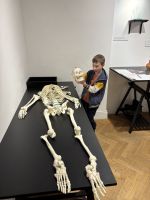 Fotografie img-3650_1_original.jpeg