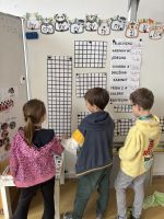 Fotografie img-3725_original.jpeg