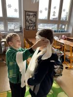 Fotografie img-3758_original.jpeg