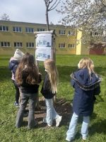 Fotografie img-6824_1_original.jpeg