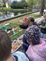 Fotografie img-6852_1_original.jpeg