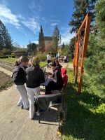 Fotografie img-1703_1_original.jpeg