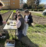 Fotografie img-1705_original.jpeg