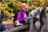 Fotogalerie Fotokroužek na návštěvě v ZOO, foto č. 9