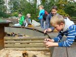 Fotogalerie Landek a ZOO pro nejlepší sběrače na ZŠ Pod Skalkou, foto č. 59