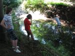 Fotogalerie Cvičení v přírodě v podání ZŠ Pod Skalkou, foto č. 10