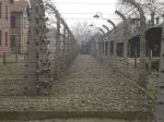 Fotogalerie Exkurze do Auschwitz, foto č. 3