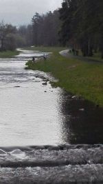 Fotogalerie Osmáci uklízeli město, foto č. 5