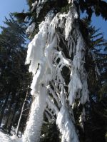 Fotogalerie Lyžák 7., 8. a 9. tříd na Kohútce, foto č. 64