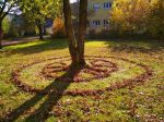 Fotogalerie Objevujeme tajemství stromů, foto č. 10